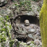 評論圖片 2