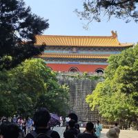 評論圖片 5