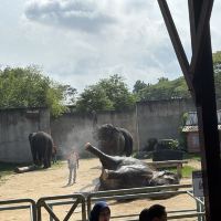 評論圖片 5