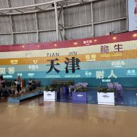 評論圖片 2