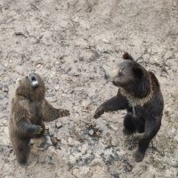 評論圖片 6