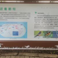 評論圖片 4