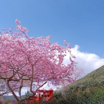 評論圖片 1
