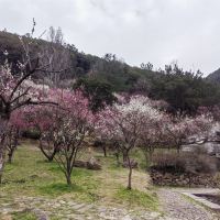 評論圖片 7