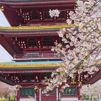 評論圖片 1