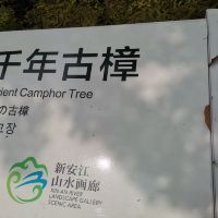 評論圖片 3