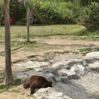 評論圖片 5