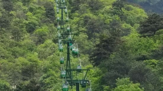 大家要是去龜峰山看杜鵑，最好四月中下旬去。五一過後去一趟看了