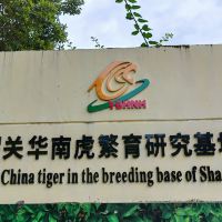 評論圖片 6