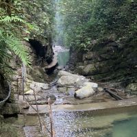 評論圖片 8