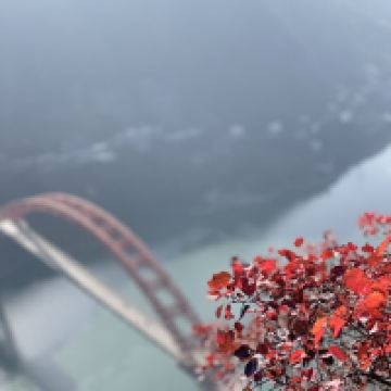 評論圖片 4
