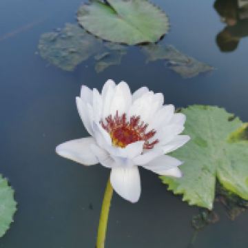 評論圖片 6