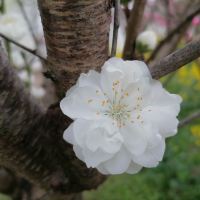 評論圖片 2