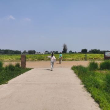 評論圖片 4