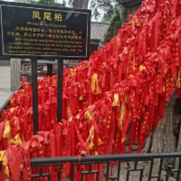 評論圖片 7