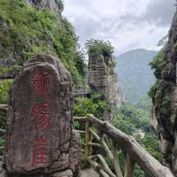 評論圖片 5