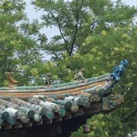 評論圖片 4