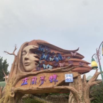 評論圖片 6