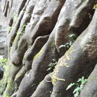 評論圖片 1