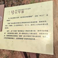 評論圖片 7
