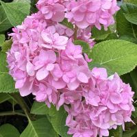 評論圖片 7