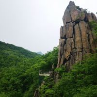 評論圖片 2