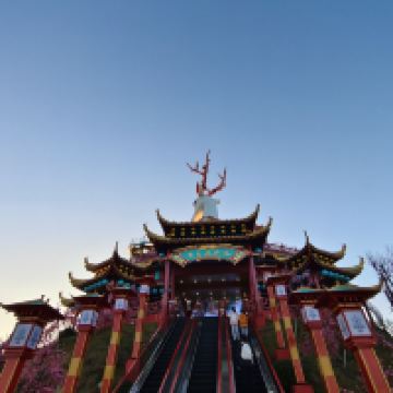 評論圖片 5