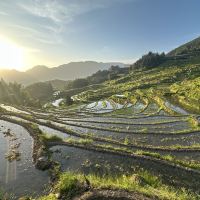 評論圖片 5