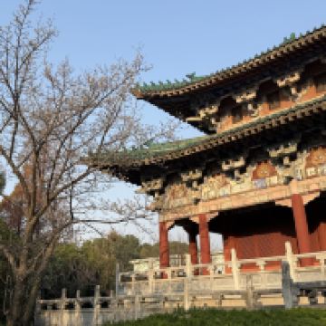 評論圖片 4