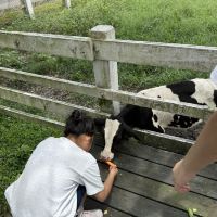 評論圖片 3
