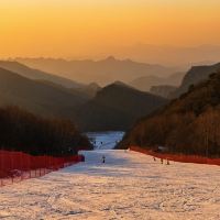 評論圖片 1
