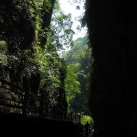 評論圖片 2