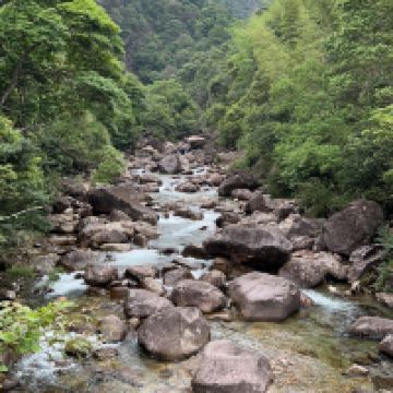 評論圖片 4