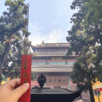 評論圖片 8