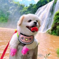 評論圖片 1
