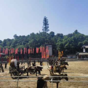 評論圖片 9