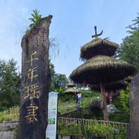 評論圖片 6