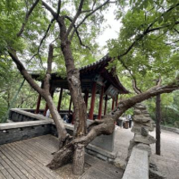 評論圖片 5