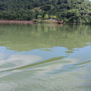 評論圖片 9