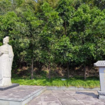 評論圖片 7