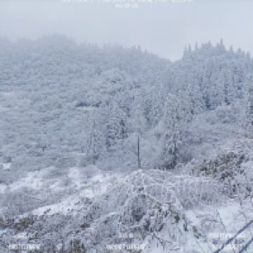 評論圖片 4