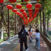 評論圖片 6