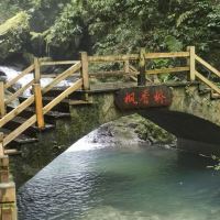 評論圖片 6