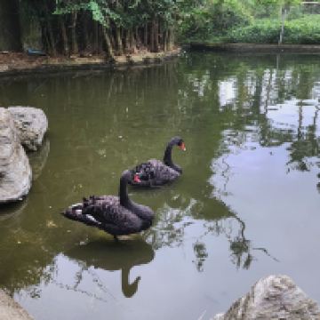 評論圖片 3