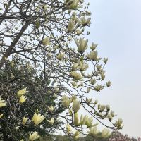 評論圖片 9