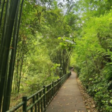 評論圖片 8
