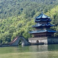 評論圖片 1