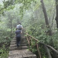 評論圖片 5