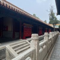 評論圖片 8