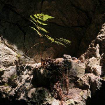 評論圖片 7